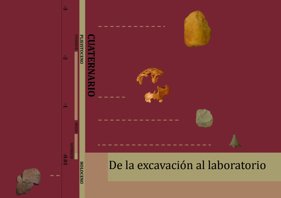 De la excavación al laboratorio